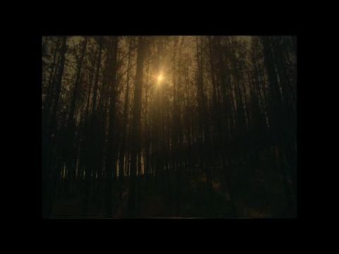 Nona. If They Soak Me, I'll Burn Them