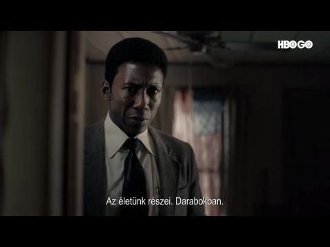 A törvény nevében