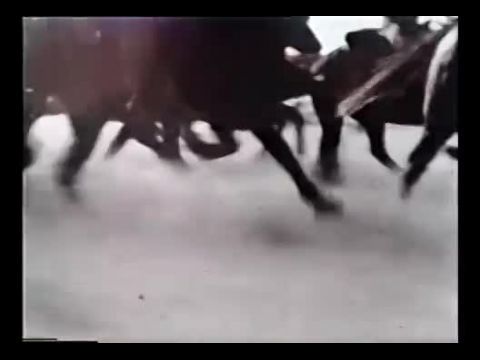 The Soul of Nigger Charley