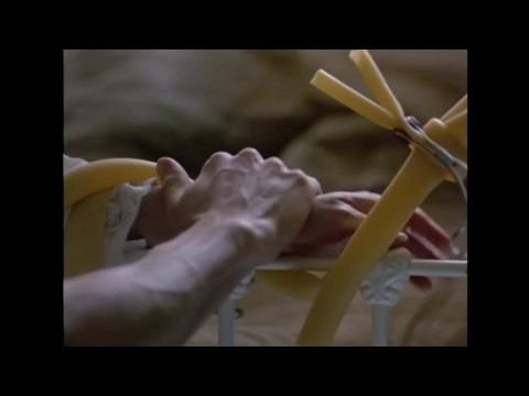 Két test egy lélek