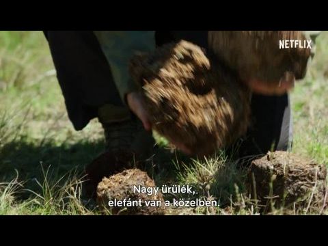 Állatok szabadon: Segíts Bear Gryllsnek