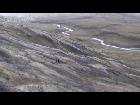 Nova - Sarki szélsőségek