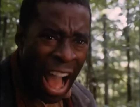 Huckleberry Finn kalandjai (Huck Finn kalandjai)