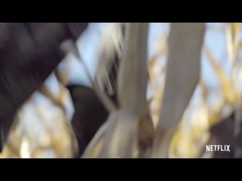 Steven Rinella - A húsevő