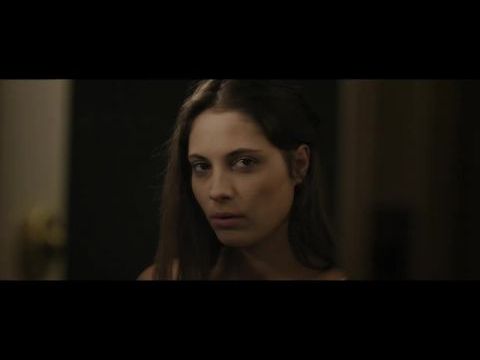 Los pájaros no vuelan de noche