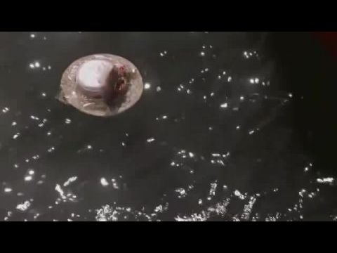 Murdoch nyomozó rejtélyei - 7. évad