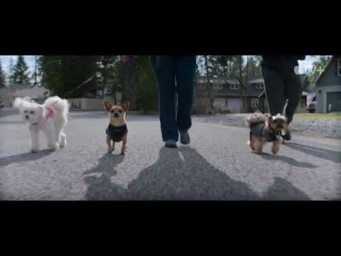 Karácsony előtti vita