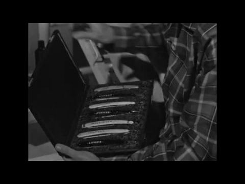 Egy büneset története