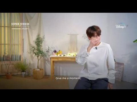 Super Junior: Fejezetek egy fiúbanda életéből