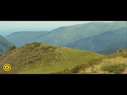 Belle és Sebastian - Egy új kaland