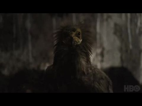 Minden, ami lélegzik