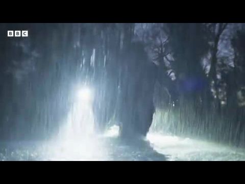 Strike:  Troubled blood - 5. évad