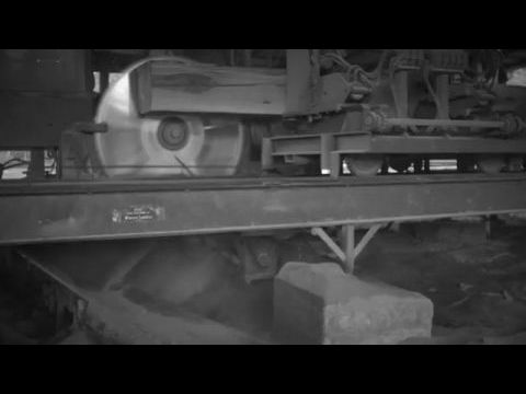 Finding Harmony: A King's Vision