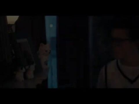 Don't Let the Cat Out