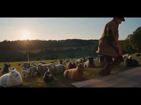 The Sheep Detectives