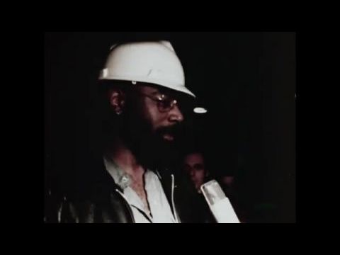 Rózsaszín flamingók