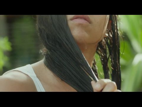 El despertar de las hormigas