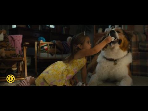 Egy kutya négy útja