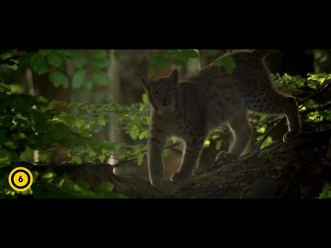 Vad erdők, vagy bércek: A fantom nyomában - Kibővített moziváltozat