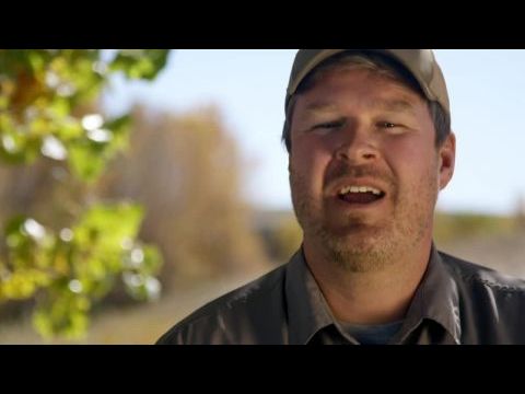 Nova - Az emlősök felemelkedése