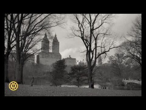 C'mon C'mon - Az élet megy tovább