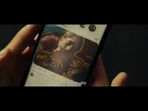 King - Egy kis oroszlán nagy kalandja