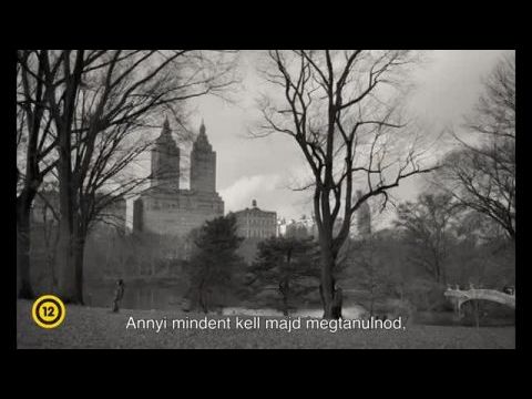 C'mon C'mon - Az élet megy tovább