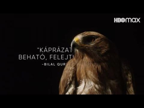 Minden, ami lélegzik