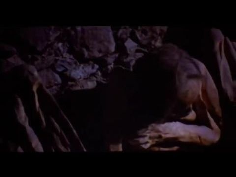 Nosferatu, az éjszaka fantomja