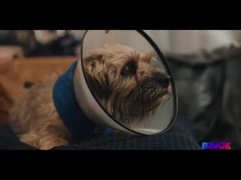 Colin from Accounts - 1. évad