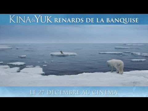 Kina és Yuk - Két sarki róka kalandjai