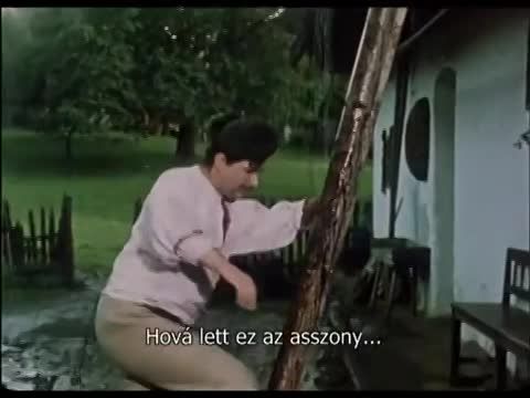 Szent Péter esernyője