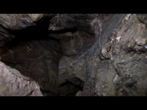 Aliens Uncovered: Invasion 2