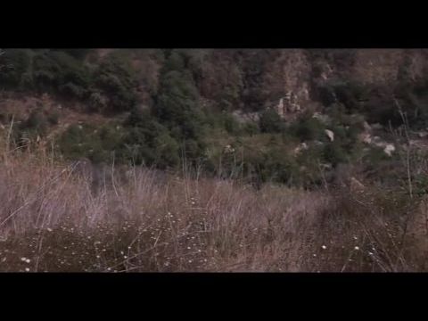 Mac, a földönkívüli barát