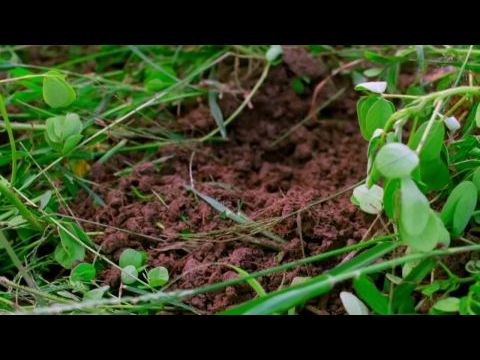 Seeding Change: The Power of Conscious Commerce