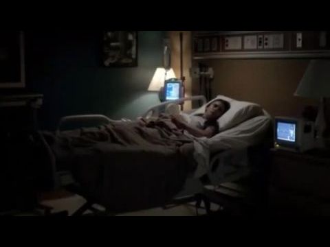 Virágzás - The Evermore