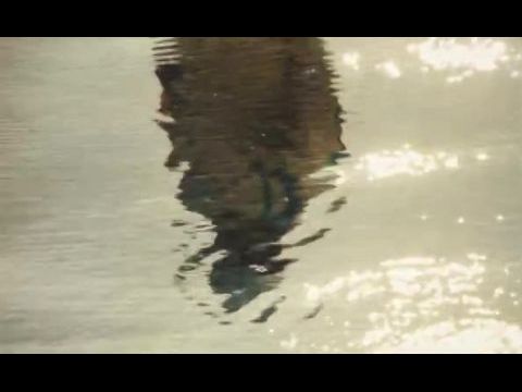 Geographies of Solitude