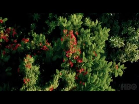 Festés Johnnal - 2. évad