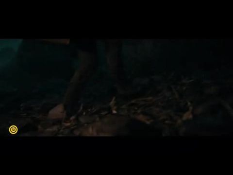 Legendás állatok és megfigyelésük - Dumbledore titkai