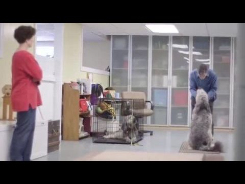 Menhelyről a rivaldafénybe