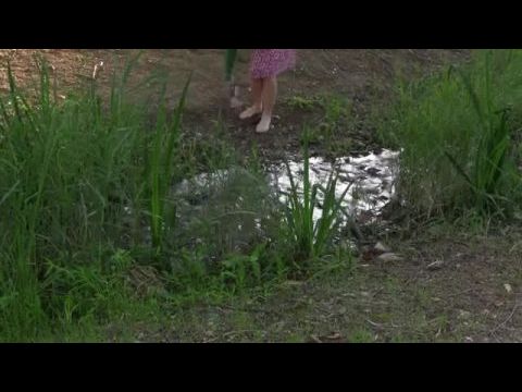 A Traveler’s Needs