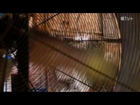 Fraggle Rock: Újra zúznak