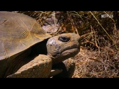 Élő bolygónk - 1. évad