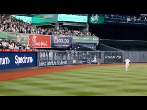 Fight for Glory: 2024 World Series