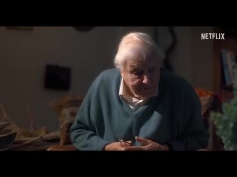 David Attenborough: Gorillák között