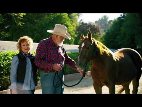 Menned kell! – Egy este Tim Robinsonnal