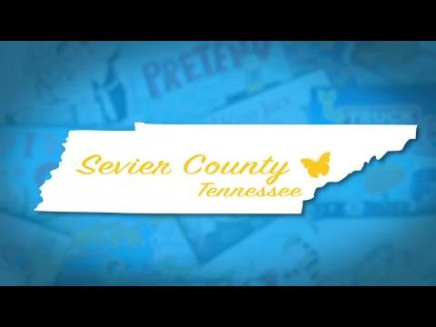 The Library That Dolly Built