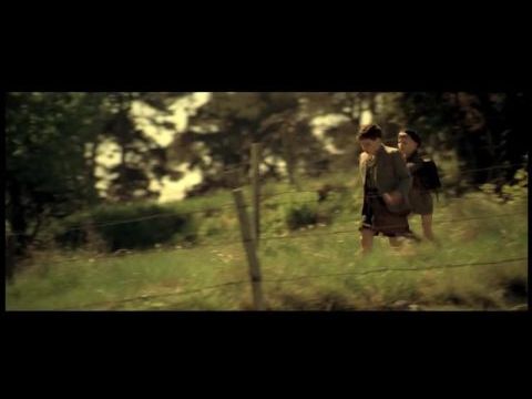 Az újabb gombháború