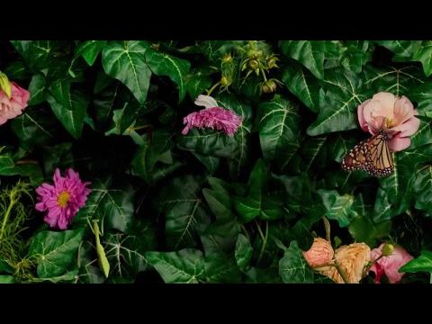 Everything's Gonna Be Okay - 2. évad