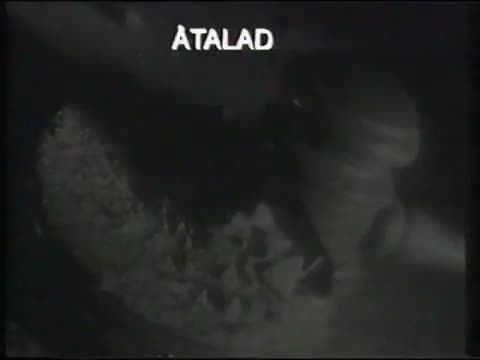 Megbélyegezve: A McMartin-per